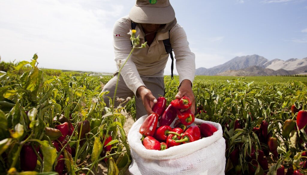 WhatsApp Image 2025-11-20 at 12.31.56