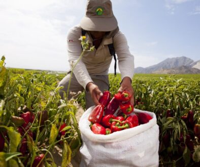 WhatsApp Image 2025-11-20 at 12.31.56