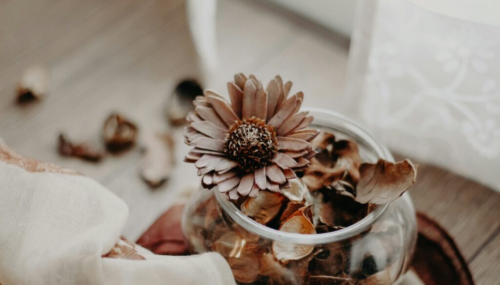 ju-desi-CFBY6EnA8Gc-unsplash