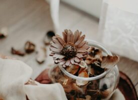 ju-desi-CFBY6EnA8Gc-unsplash