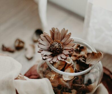 ju-desi-CFBY6EnA8Gc-unsplash